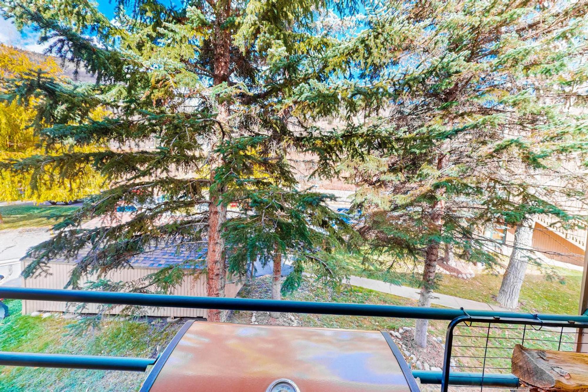 Pitkin Creek Park 7 Vail Quarto foto