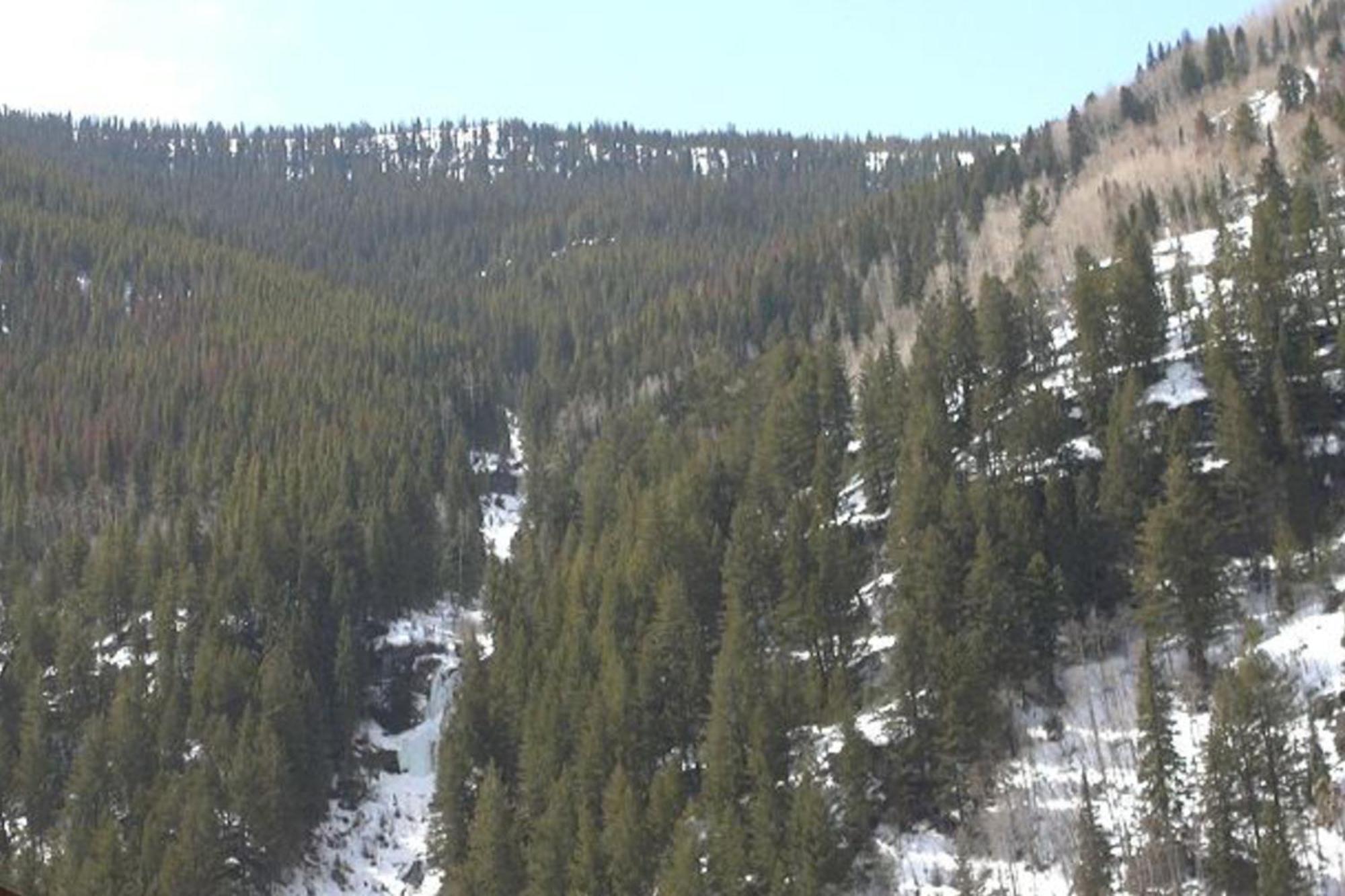 Pitkin Creek Park 7 Vail Quarto foto